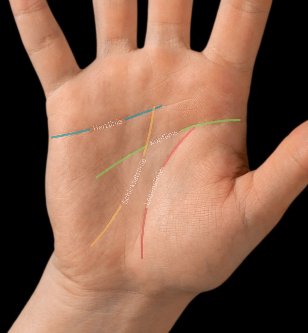 Handfläche mit sichtbaren Handlinien